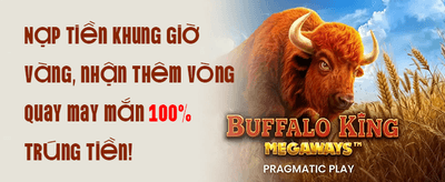 Hoàn Trả Không Giới Hạn